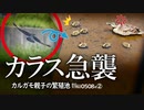 カルガモ親子0508R②【引っ越しをカラスが襲う悲劇】雛鳥の足がゴツすぎるツル目バンの赤ちゃん。カワセミとサイズ比較【野鳥撮影】　#身近な生き物語　#カルガモ親子　#カラス