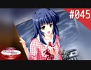 【実況】#045:何処へ行くの、あの日 ～光る明日へ…～ 初見実況プレイ【1st season】