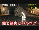 【2人実況】神として鉄槌を下していくおっさん【DARK SOULSⅡ】＃10