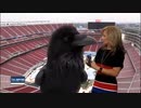 ホモと見る　お天気カメラのハプニング