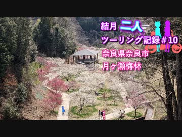 【結月ゆかり車載】結月二人　ツーリング記録#10　月ヶ瀬梅林