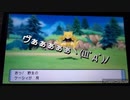 ケーシィ捕まえるの苦労したの回#3[ダイパリメイク]
