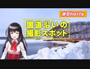 【ゆうひリポート】#5 標茶町 冬のシラルトロ湖 【#Shorts】【北海道】