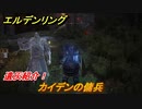 エルデンリング　カイデンの傭兵の動き方！遺灰紹介！　＃４１９【ELDEN RING】