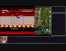 【RTA】F-ZERO/Grand Prix 43:42　(3/3)