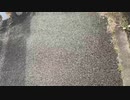 【りなもい ニコ生】帰り道。2022年3月20日【rinamoi】