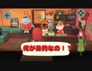 【ハッピーホームパラダイス】　第二十六幕　タクミライフにたぬきち来訪！！その目的は？