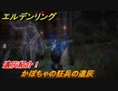 エルデンリング　かぼちゃの狂兵の遺灰の動き方！遺灰紹介！　＃４２０【ELDEN RING】