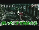 【実況】さっくり進めたいバイオハザードpart5【バイオハザードHD】