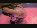 【ヒカマニ新素材】 パンパンパンパンパンパン！パンパン！