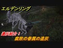 エルデンリング　腐敗の眷属の遺灰の動き方！遺灰紹介！　＃４２１【ELDEN RING】