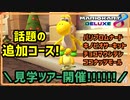 追加パックどんな感じやねん見学ツアー！！！【マリオカート８DX】【実況】