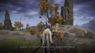 【ELDEN RING】#23-1トロコン目指す【3周目】ストームヴィル城～リエーニエ