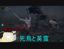【実況】寄生虫がエルデンリングの世界にやってきたの　１３【初見プレイ】