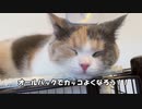 子猫が初めて爆食やってみた。