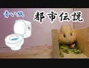 【第四回】モルモットと聞く怪異譚【青い紙】