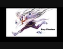 Gray Phantom