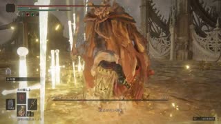 ガード強度100とかいう確実にナーフされるぶっ壊れ 全ての攻撃をスタミナ消費０で吸収可能、もはや別ゲー 全ての敵が弱すぎる･･