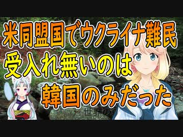 【韓国の反応】米国の同盟国の中で、ウクライナ難民を受入れない唯一の国、韓国【世界の〇〇にゅーす】