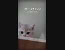 #5 はじめてのヤギミルク First goat milk #Shorts