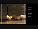 もり アルバム「sukima」XFD