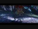 【初実況】MHXX part4