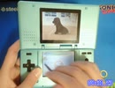 nintendogs RTA 13:57