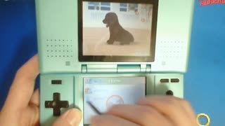 nintendogs RTA 13:57