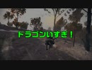 低スぺPCプレイヤーのELDEN RING part27