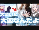 胸が大きい人の悩みや苦労を解説【ゆっくり解説】【VOICEROID解説】