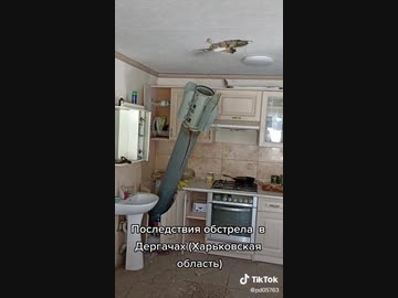 ホモと見る不発弾