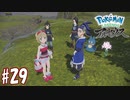 【実況】「Pokémon LEGENDS アルセウス」をやるぞ part29