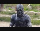 ホモと見る原油に飛び込むロシア人