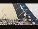 捨て猫がいると思ったらまさかの〇〇だった！？
