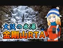【金剛山】まだ見ぬ山頂[ピーク]にみせられて。3登目【リアル登山アタック】