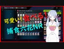 ＮRフェス！ つくよみちゃんは捕食六花がしたい！【マスターデュエル】【COEIROINK】