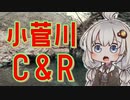 ネイティブでトラウトをゲットしたいおじさんを実況する紲星あかり【VOICEROIDフィッシング】