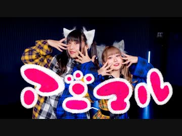 【りりり×まぁり】アニマル 踊ってみた【オリジナル振付】