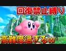 【鬼畜】回復禁止ワイルドモードで全クリを目指すカービィが高難度過ぎたｗ【星のカービィディスカバリー】