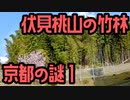 京都の謎 No.1 伏見桃山の竹林