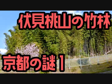 京都の謎 No.1 伏見桃山の竹林