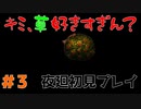 【夜廻】心の安寧、草 #3
