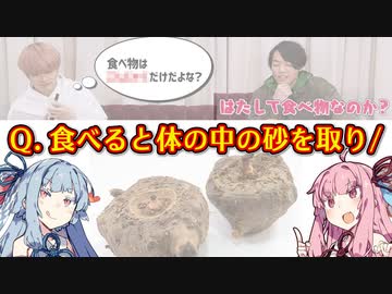 【QuizKnock】こんにゃくが「砂を取る」…!?【クイズ解説 VOICEROID琴葉葵・茜】