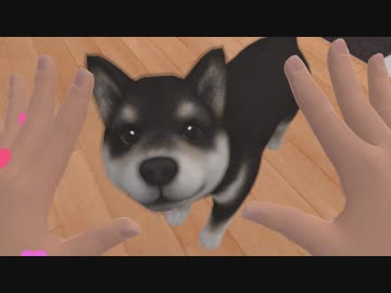 『VR Little Island』で、なぜか飼い犬に水中適性が付与されてた。