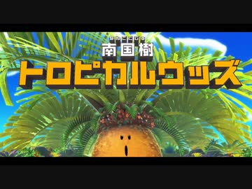 【プレイ動画】星のカービィ ディスカバリーPart7
