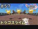 #57【女性実況】ドラゴンクエスト11Sで癒される！ドラゴスライム(ドラクエ11s)