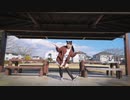 【変身あり】アニマル 踊ってみた【まいえん】