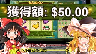 質素霊夢のドリームバトル！　#1【資金10倍！！／オンラインカジノ】