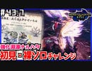 (ひっそりと)MHRise初見実況プレイ#43.7(番外)「我ら楽土がかぞいろは」