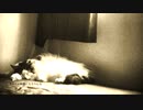 ラストダンス　／　初音ミク